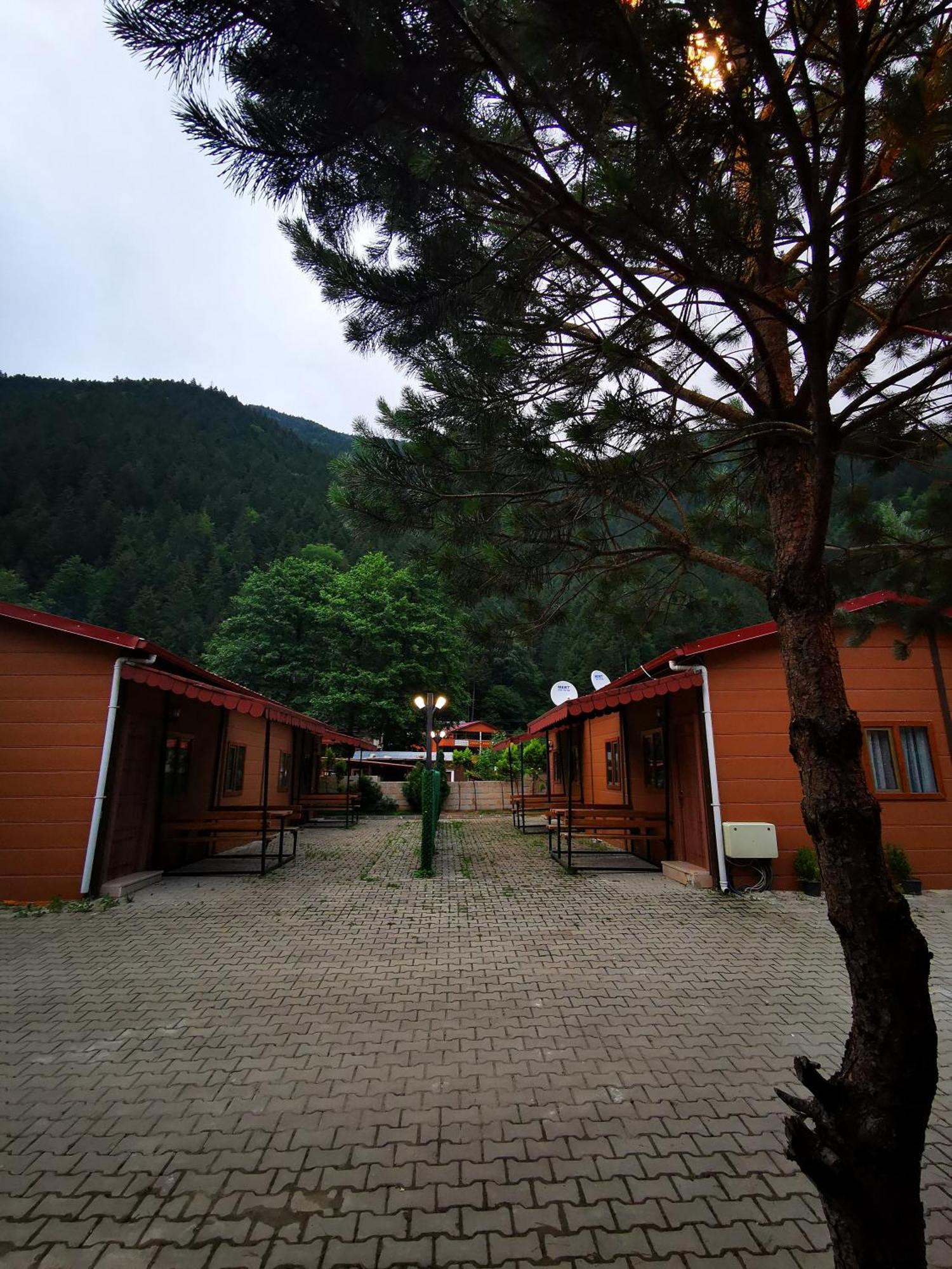 Kuloglu Otel Ve Restoran Uzungöl Rum bild
